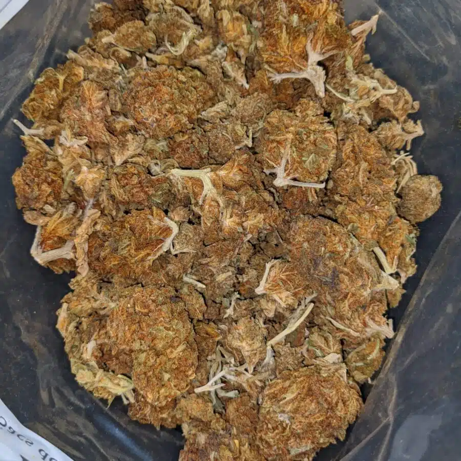 AA cheap weed 1 I AA Cheap Weed