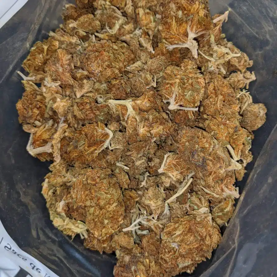 AA cheap weed 2 I AA Cheap Weed