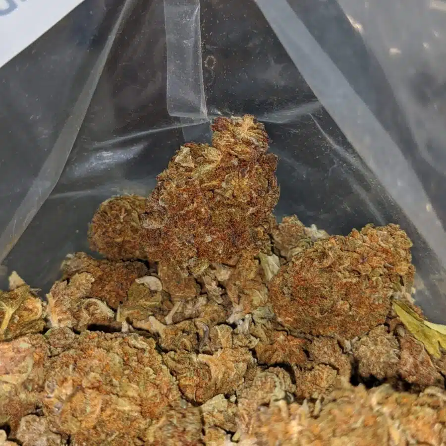 AA cheap weed 3 I AA Cheap Weed
