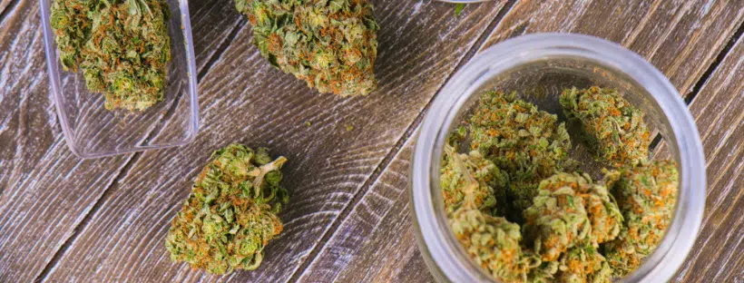 Attractions During the Cannabis Cup