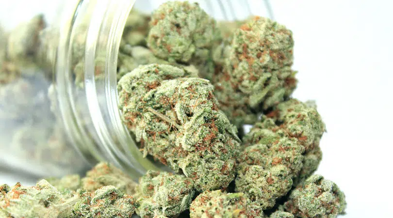 Bubba OG Strain Review