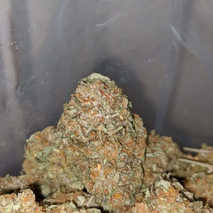 EAST COAST SOUR DIESEL 2 I East Coast Sour Diesel