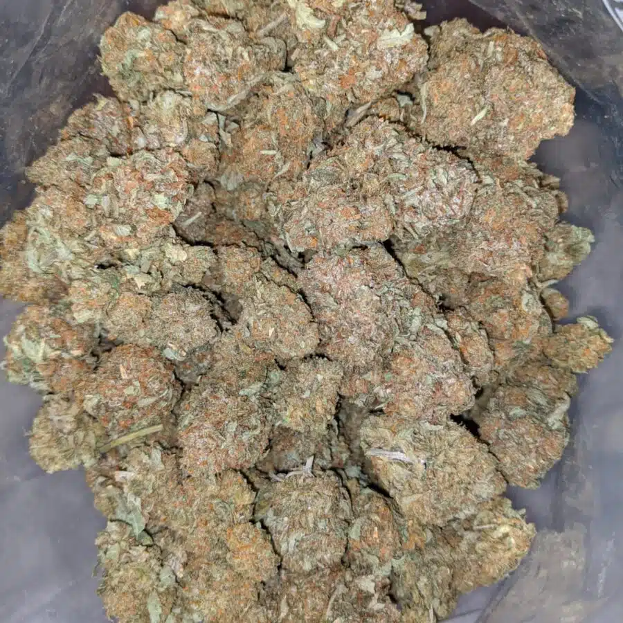 East Coast Sour Diesel