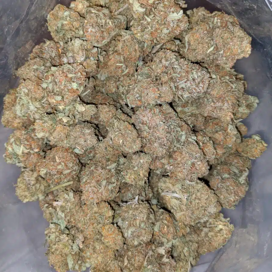 EAST COAST SOUR DIESEL 4 I East Coast Sour Diesel