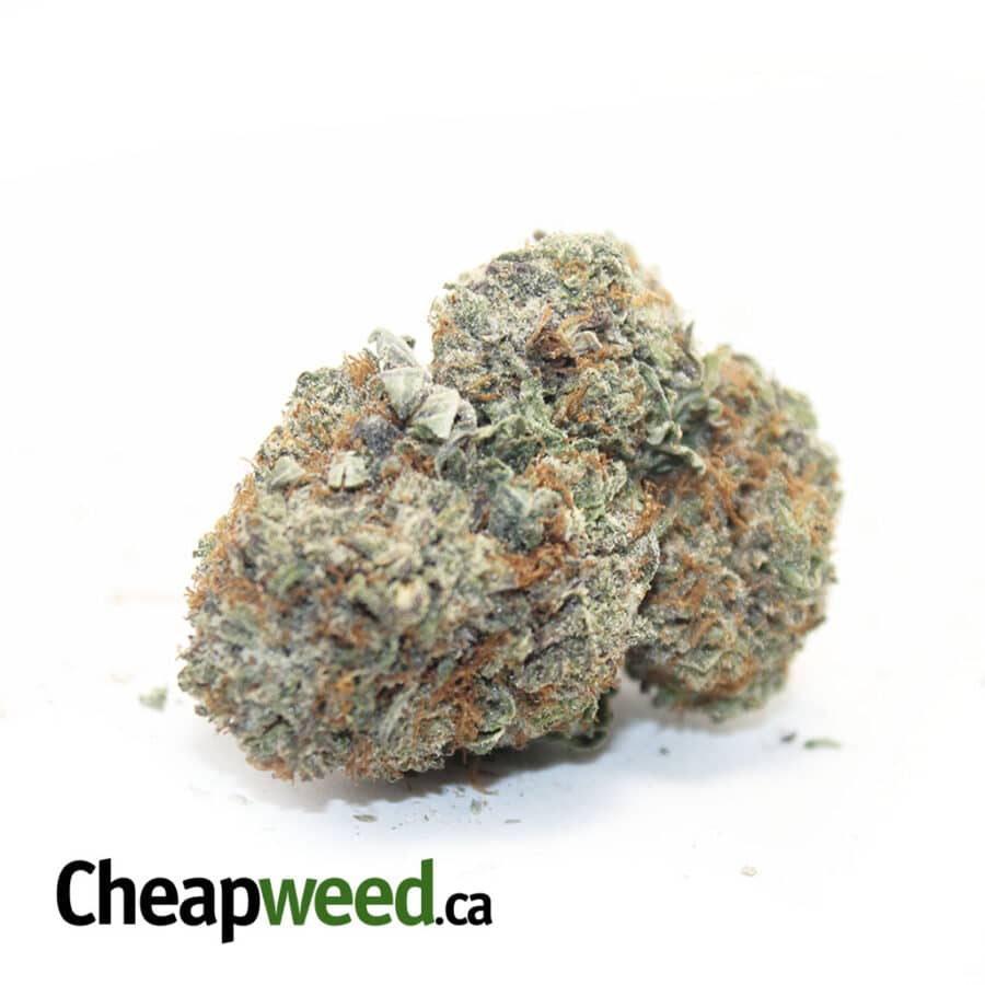 Select Indica #3