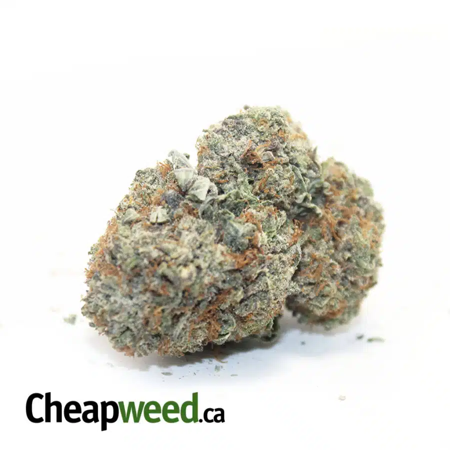 Tony's Select Indica #3