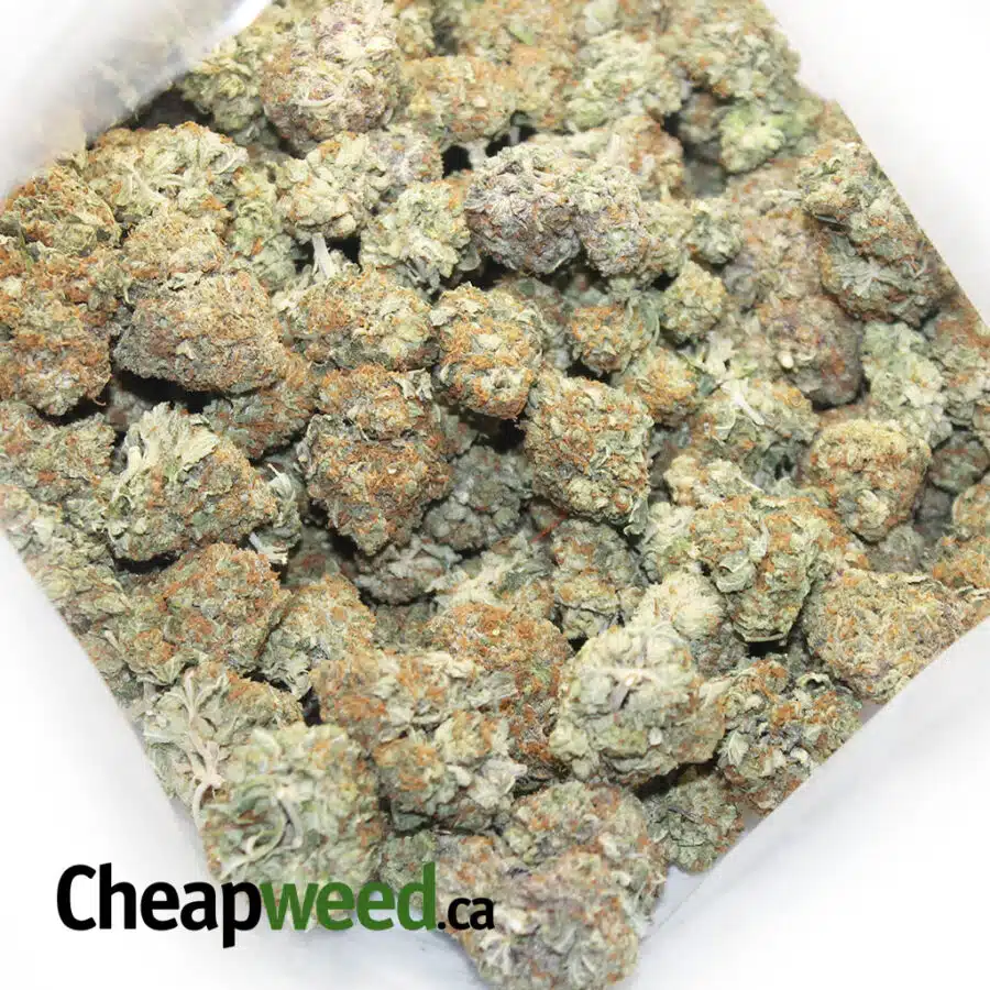 SELECT INDICA 3 3 I Tony's Select Indica #3