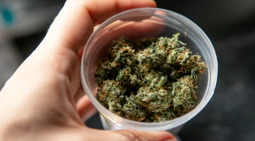 Strain Review: Astroboy