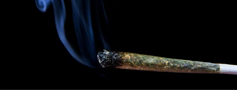 Ways to Use Budder - Joint