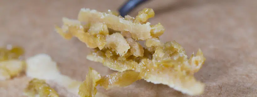What Exactly is Budder