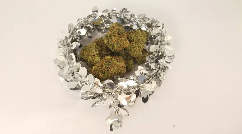 What is the Cannabis Cup