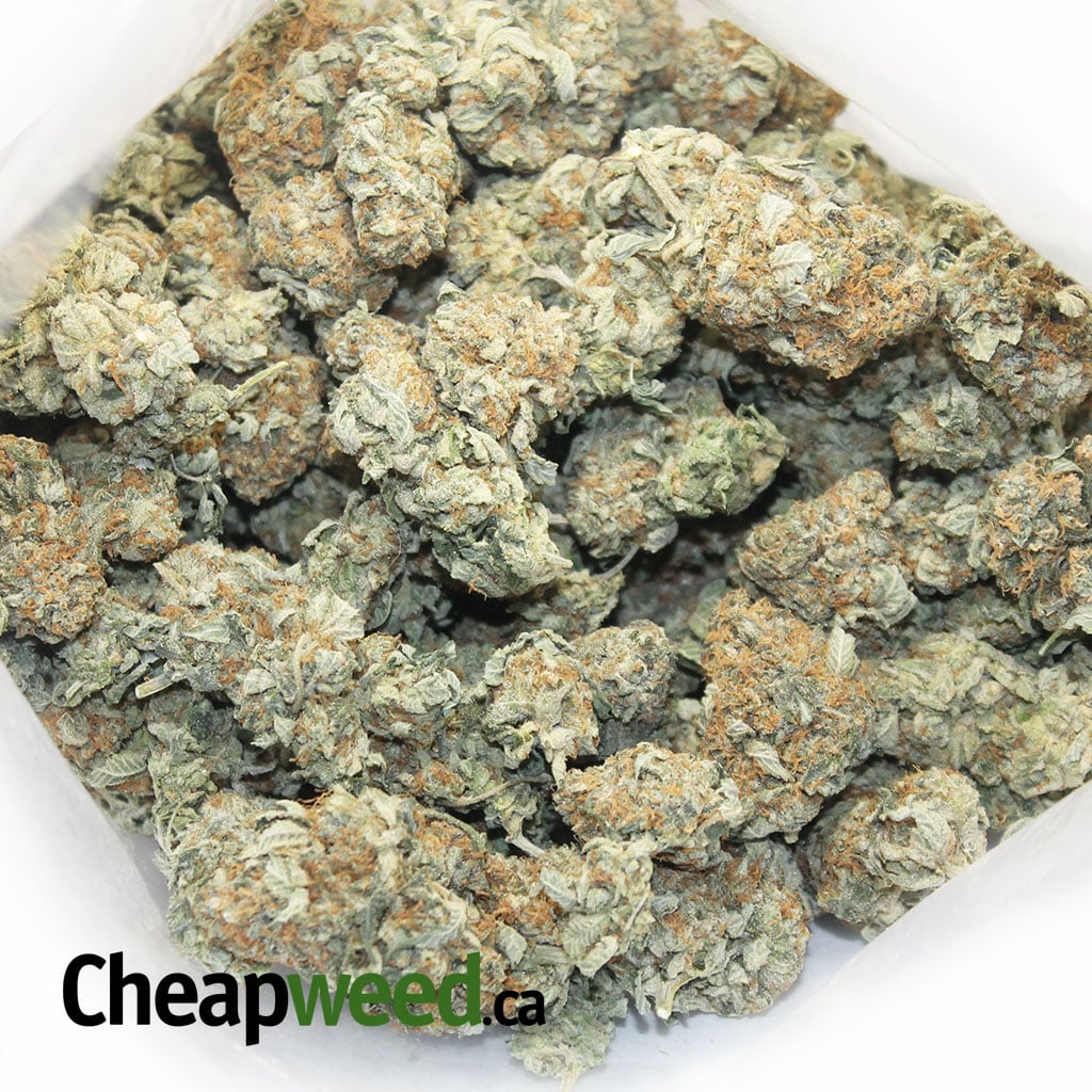 Buy Blue Dream X OG Kush Online Cheap Weed