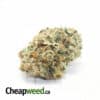 Greenfarm's Pineapple Express