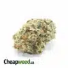 Greenfarm's Pineapple Express