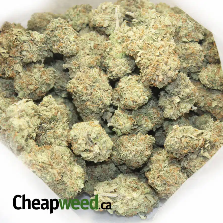 gf pineapple express 4 I Greenfarm's Pineapple Express