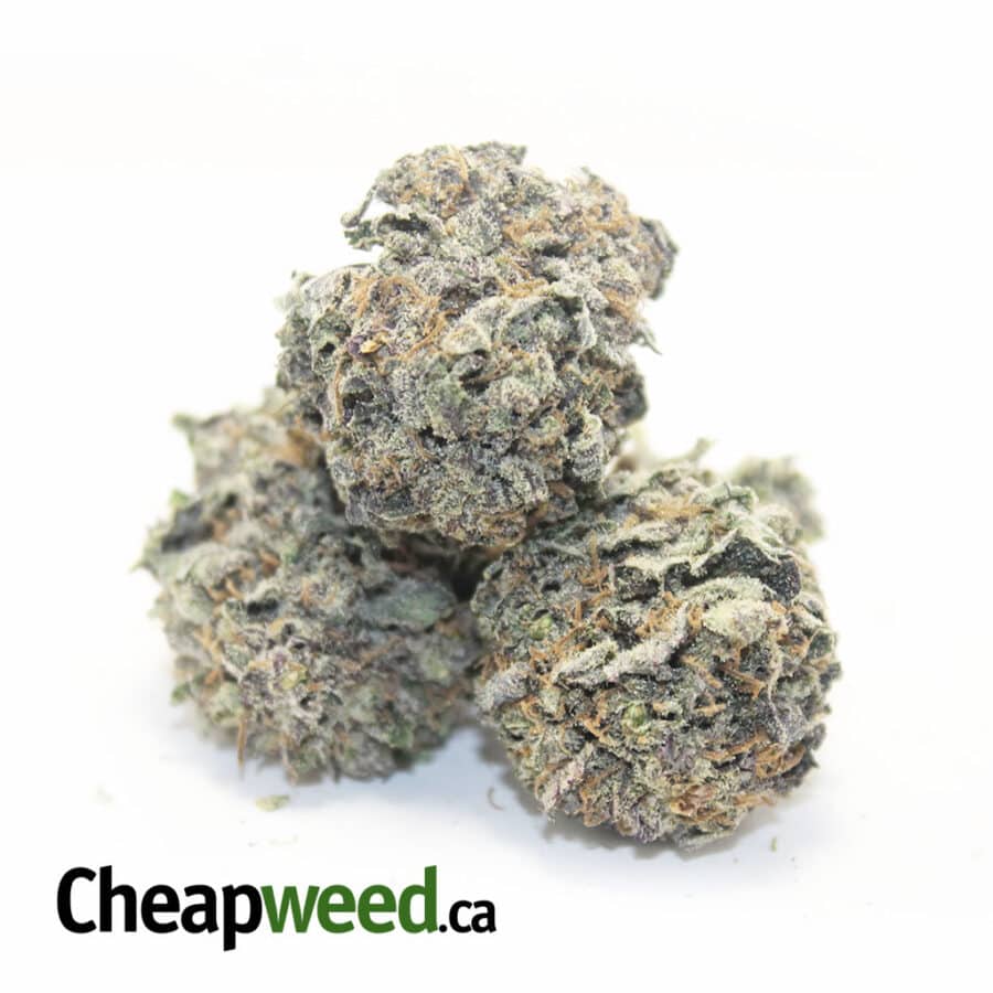 Purple Cauliflower - Image 2