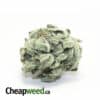 Tony's Select Indica #2