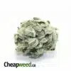 Tony's Select Indica #2