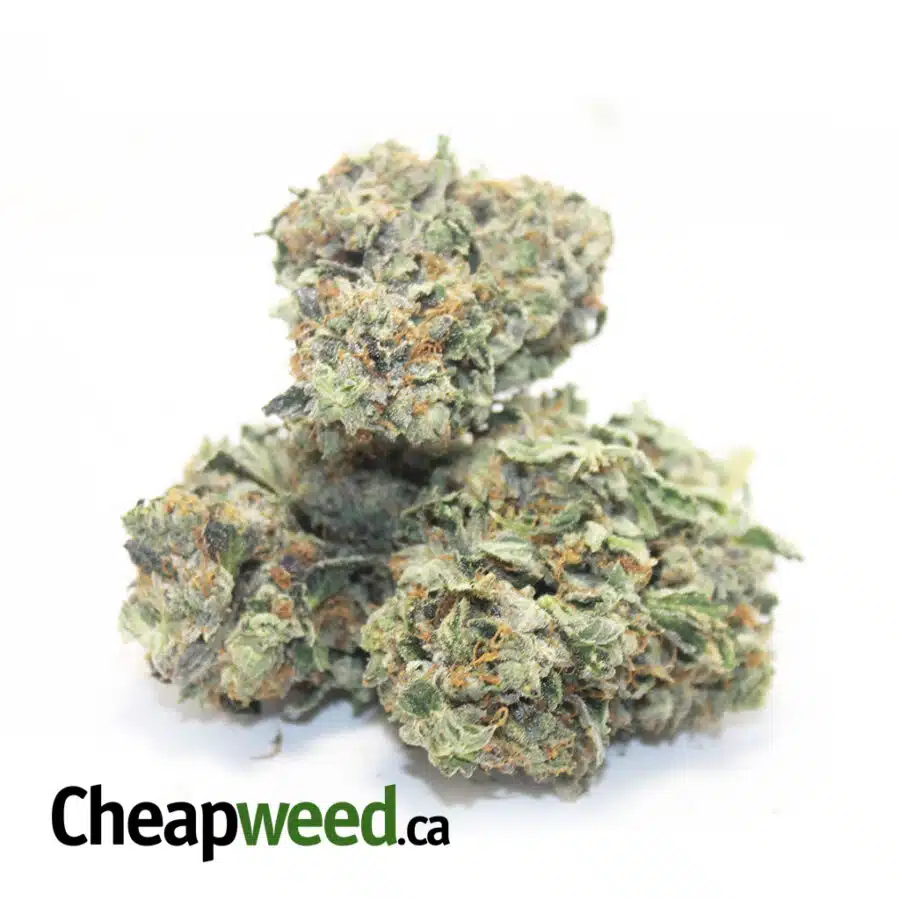 tonys purple bubba 2 I $325 QP - Purple Gandalf AA+