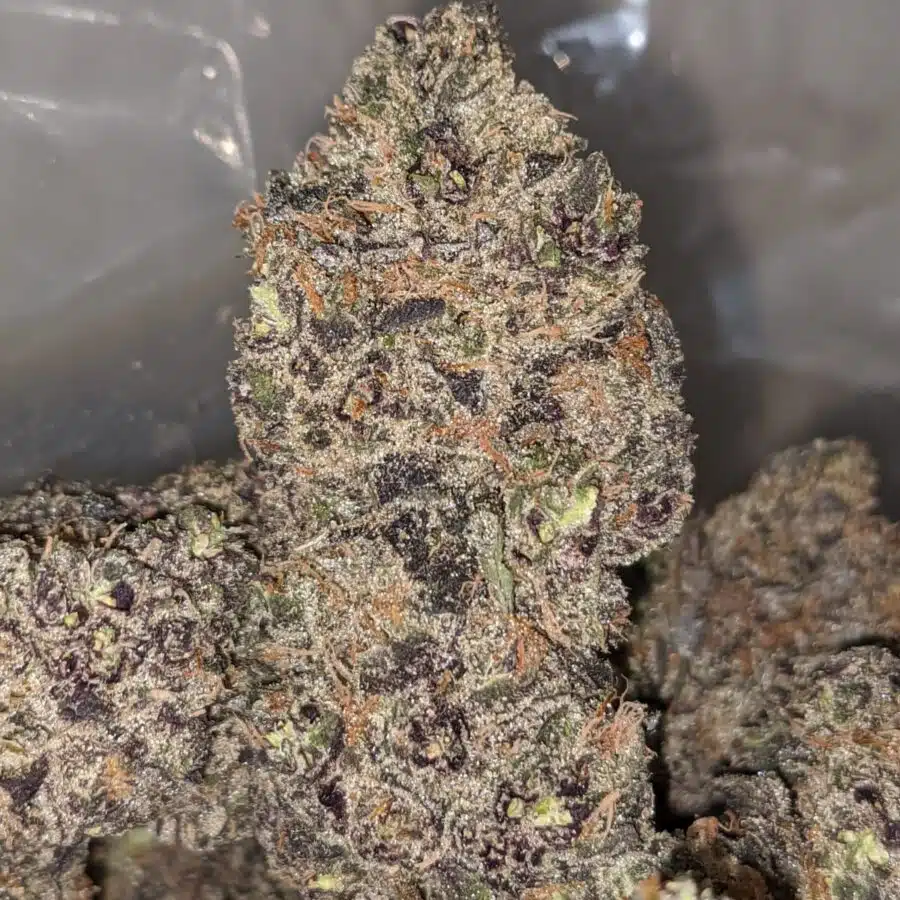 BLACKBERRY CREAMSICLE 2 I Blackberry Creamsicle