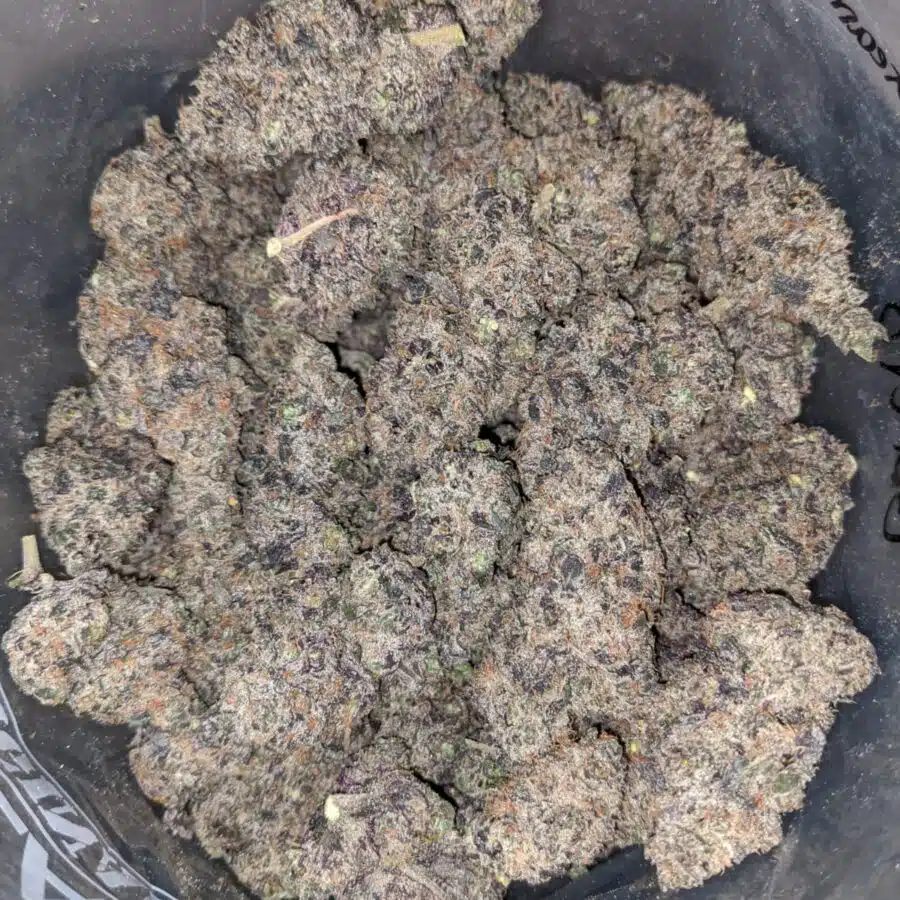 BLACKBERRY CREAMSICLE 3 I Blackberry Creamsicle