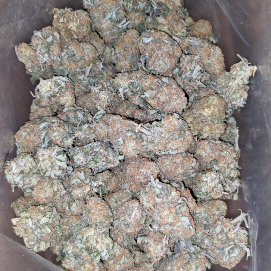 Headband og 1 I Headband OG