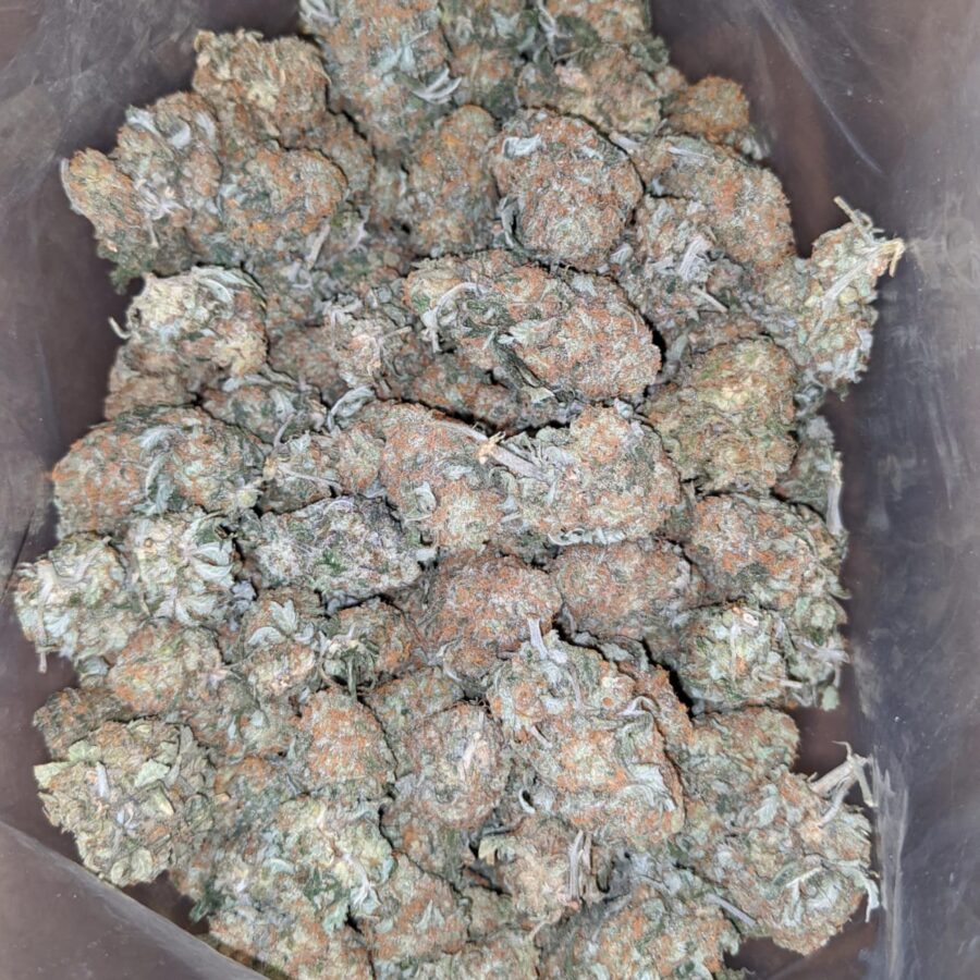Headband og 2 I Headband OG