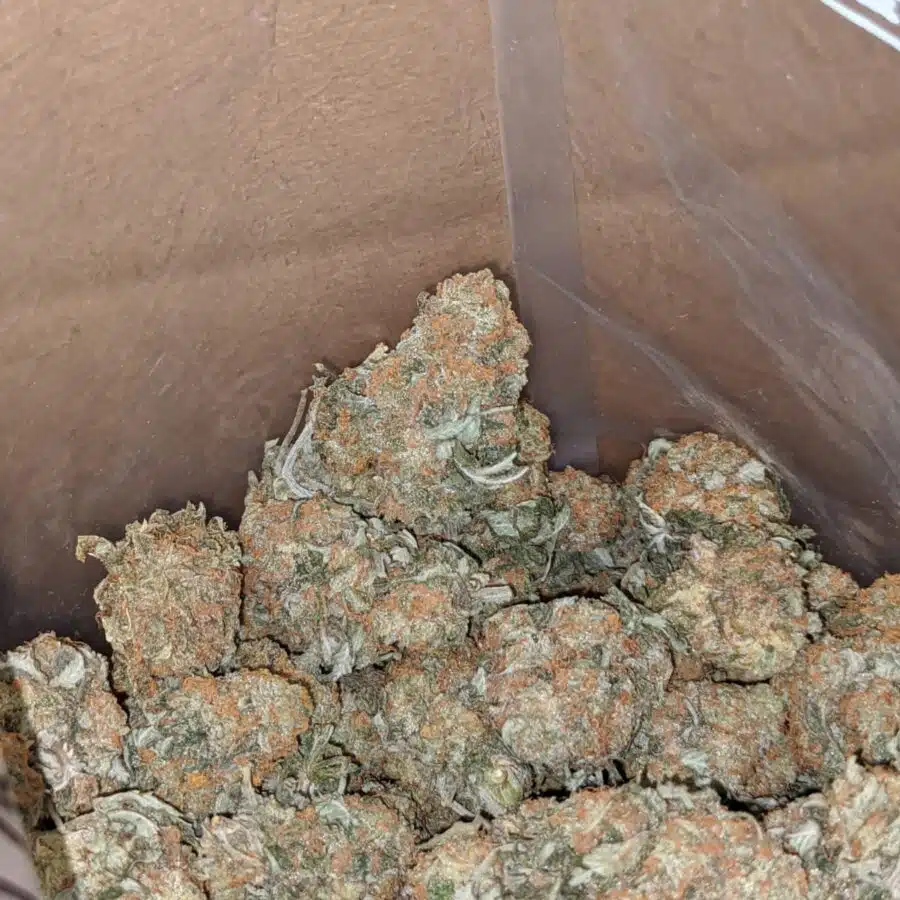 Headband og 3 I Headband OG