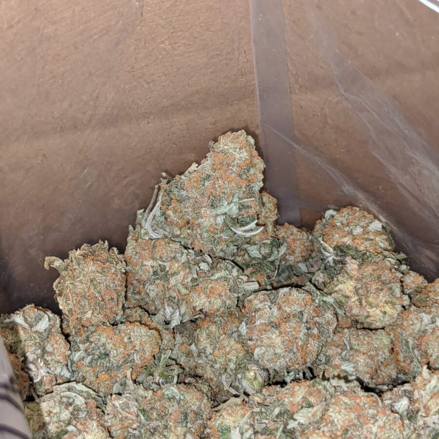 Headband og 4 I Headband OG