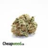 Medi Haze