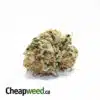 Medi Haze