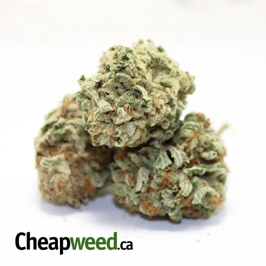 MEDI HAZE 2 I Medi Haze
