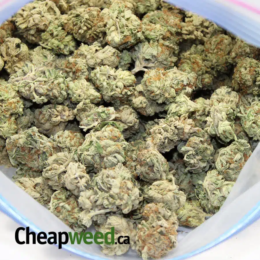 MEDI HAZE 3 I Medi Haze