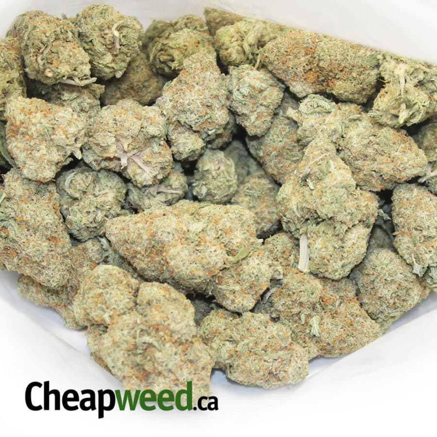 Fresh Nuken - Image 3