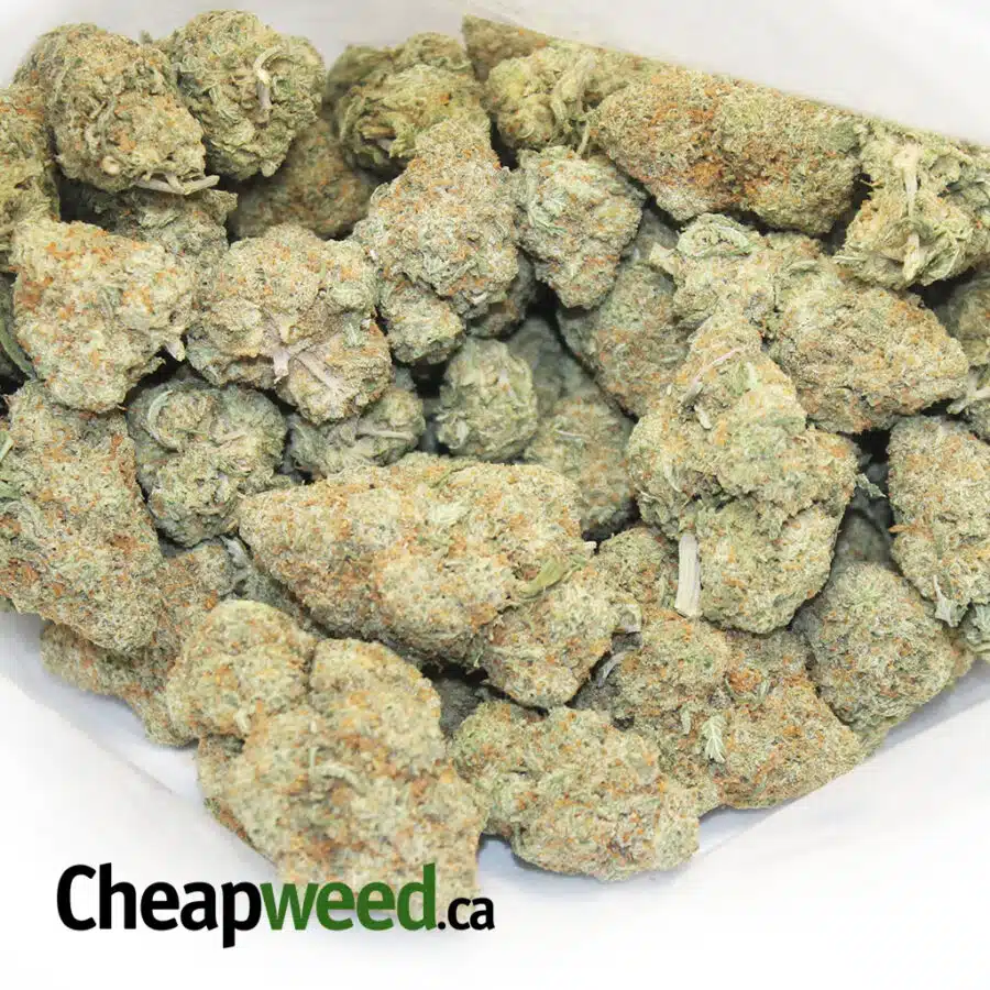NUKEN 3 I Fresh Nuken