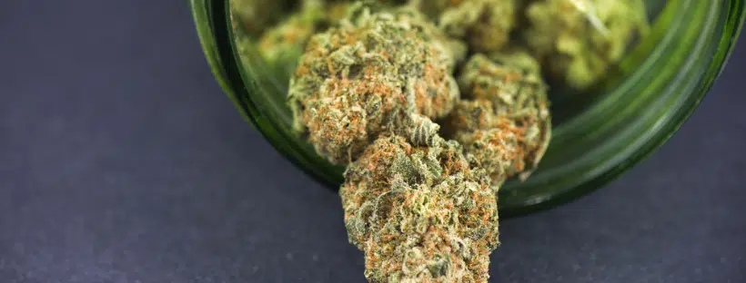 Selecting the Right Strain for Cannabis Candy