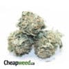 Tony's Super Kush