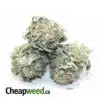 Tony's Super Kush