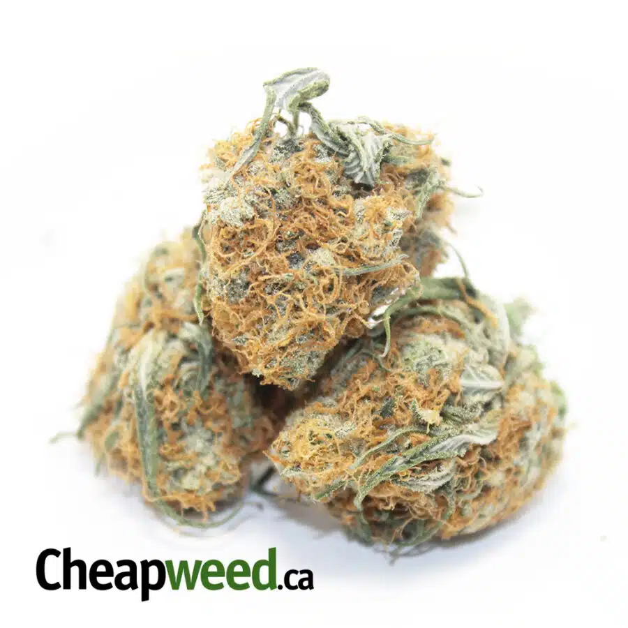 Alternative view of $111 Oz - Tony's Red Congolese