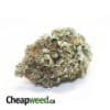 Tony's Select Indica #4