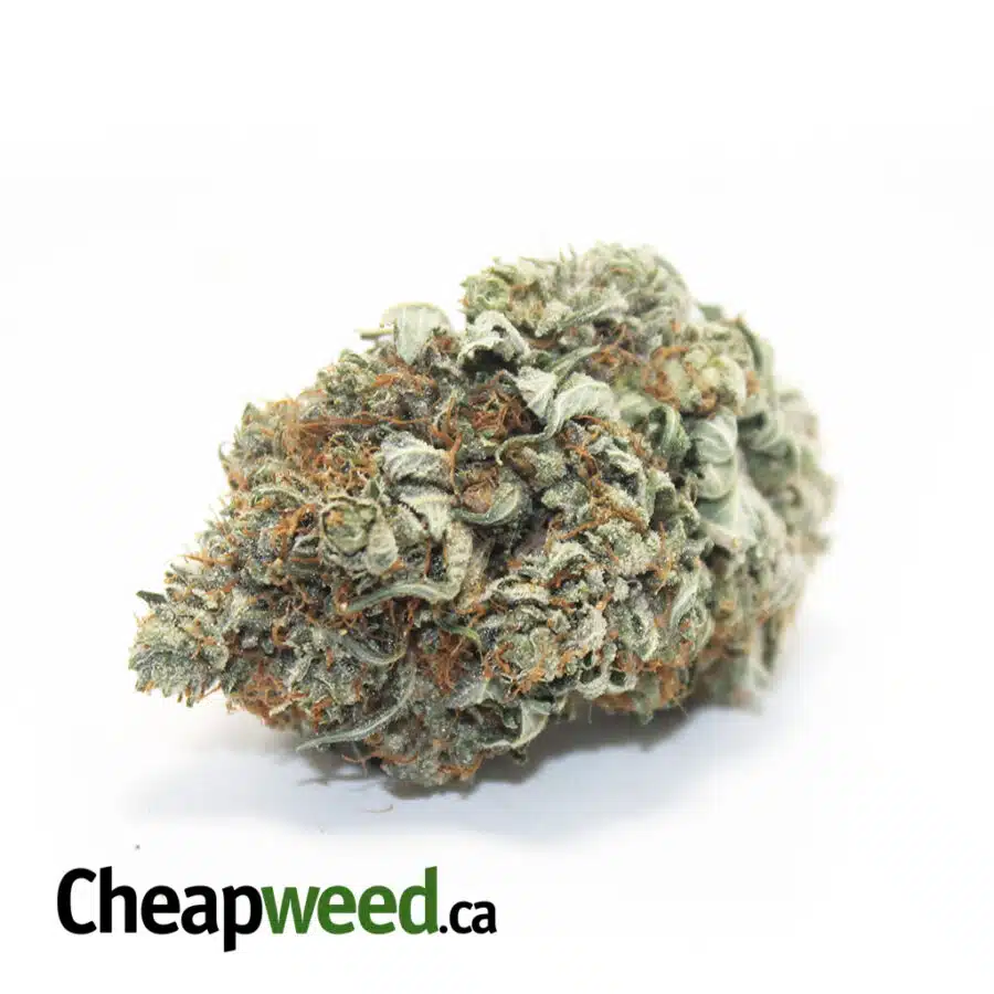 Tony's Select Indica #4