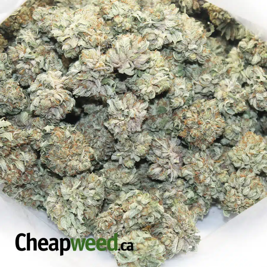 TONYS SELECT INDICA 4 4 I Tony's Select Indica #4