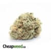 $109 Oz - Sativa Jackfruit