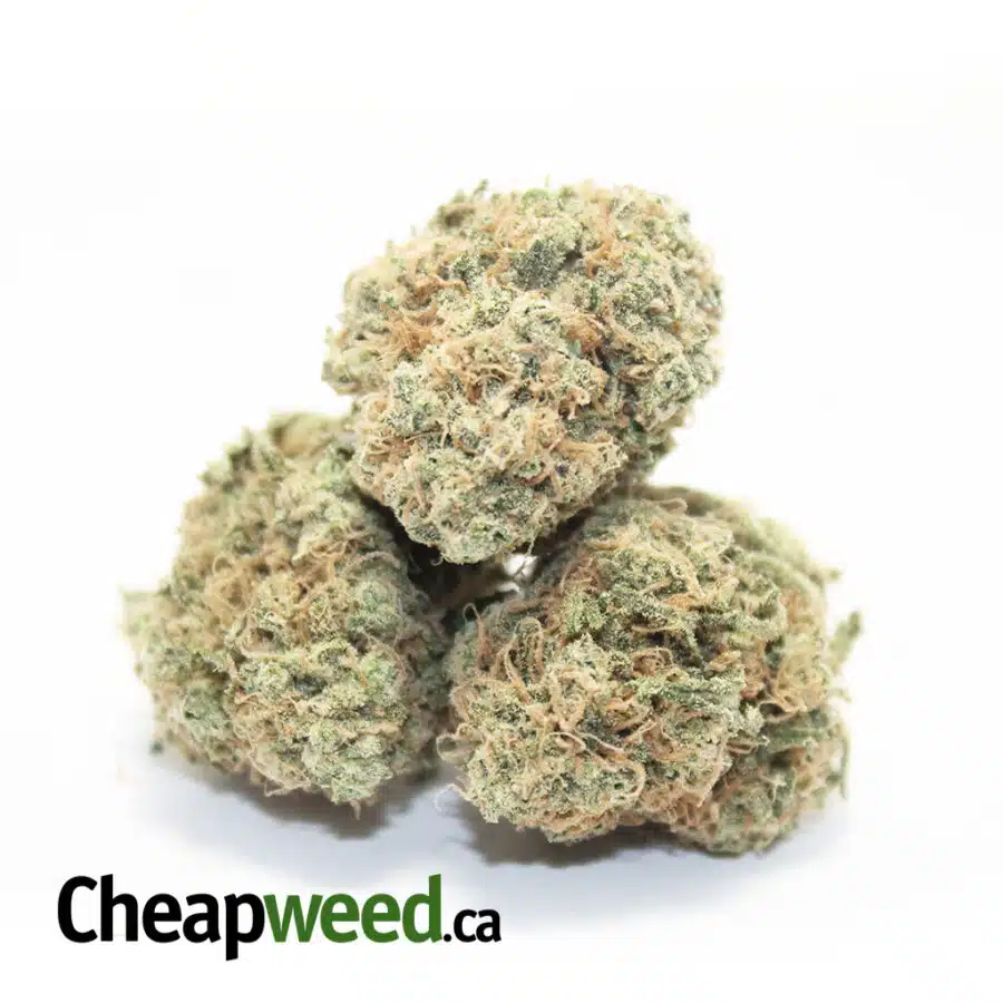 Alternative view of Tony's Select Sativa #2