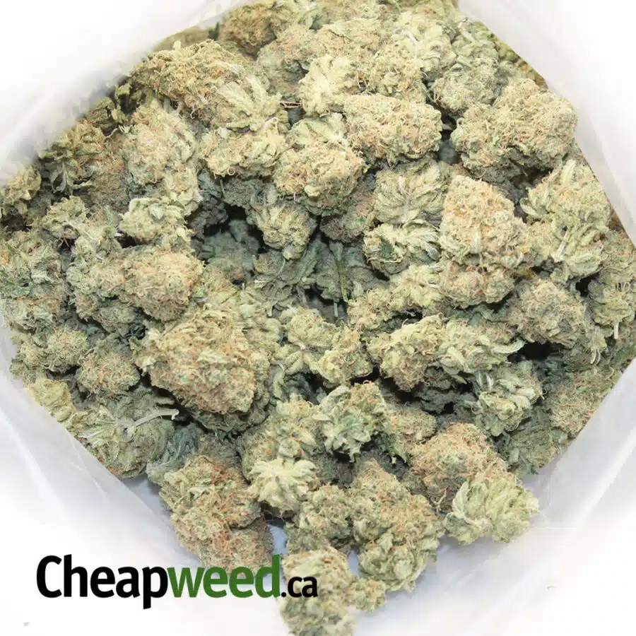 TONYS SELECT SATIVA 2 3 I Tony's Select Sativa #2