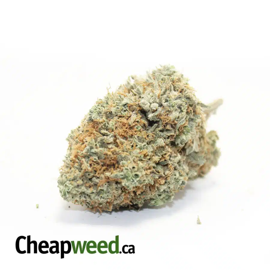 Tony's Select Sativa #4