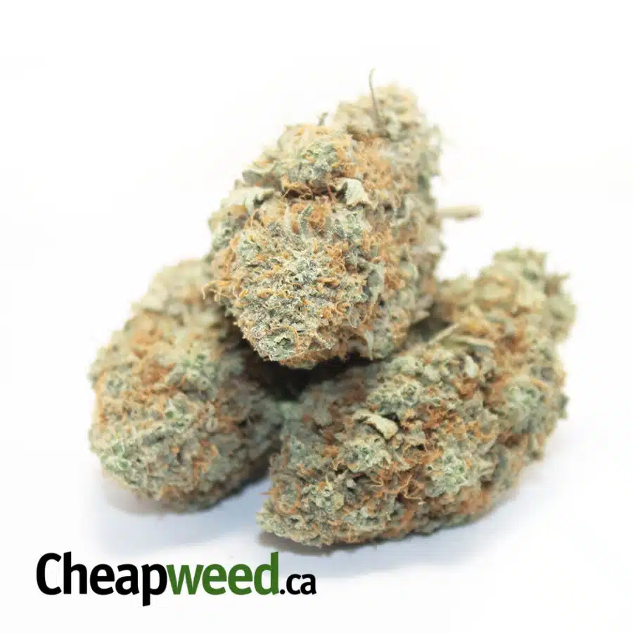 Alternative view of Tony's Select Sativa #4