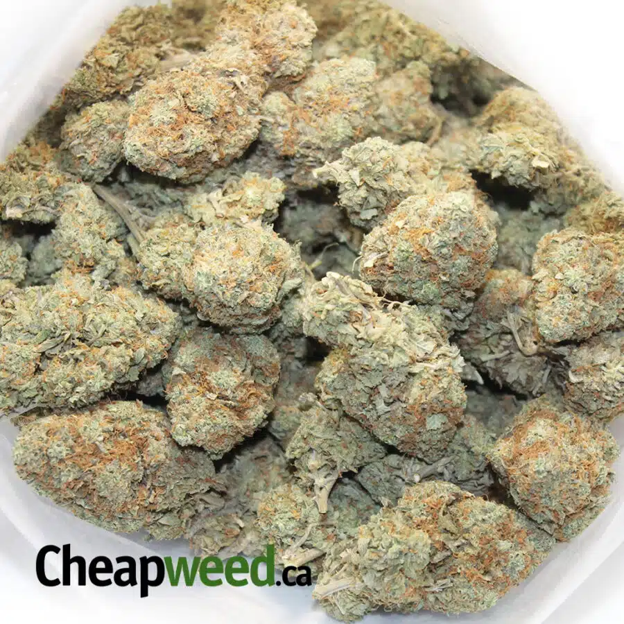 TONYS SELECT SATIVA 4 4 I Tony's Select Sativa #4