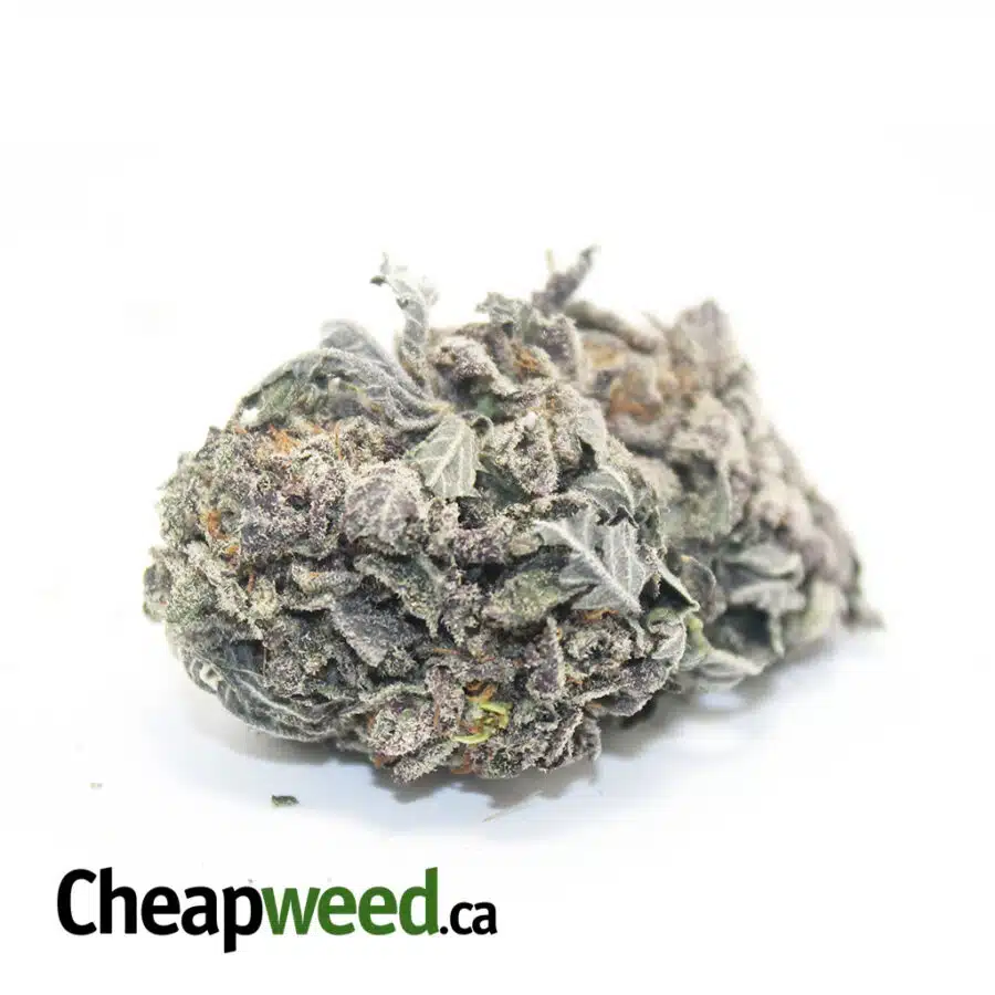 Tony's Select Sativa #5