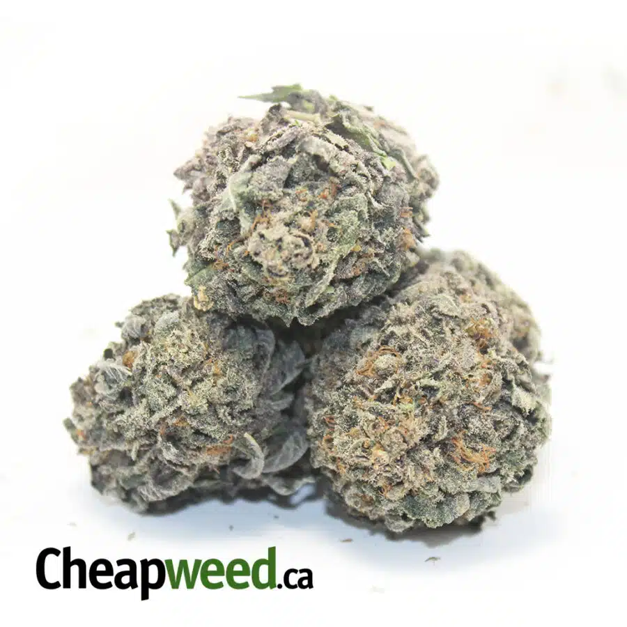 Alternative view of Tony's Select Sativa #5